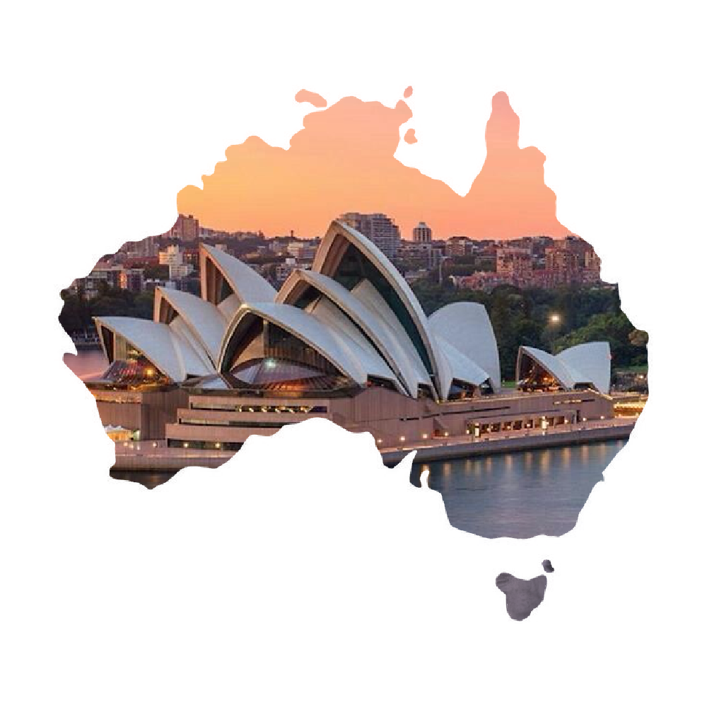 Aivita Australia – Purple Koala